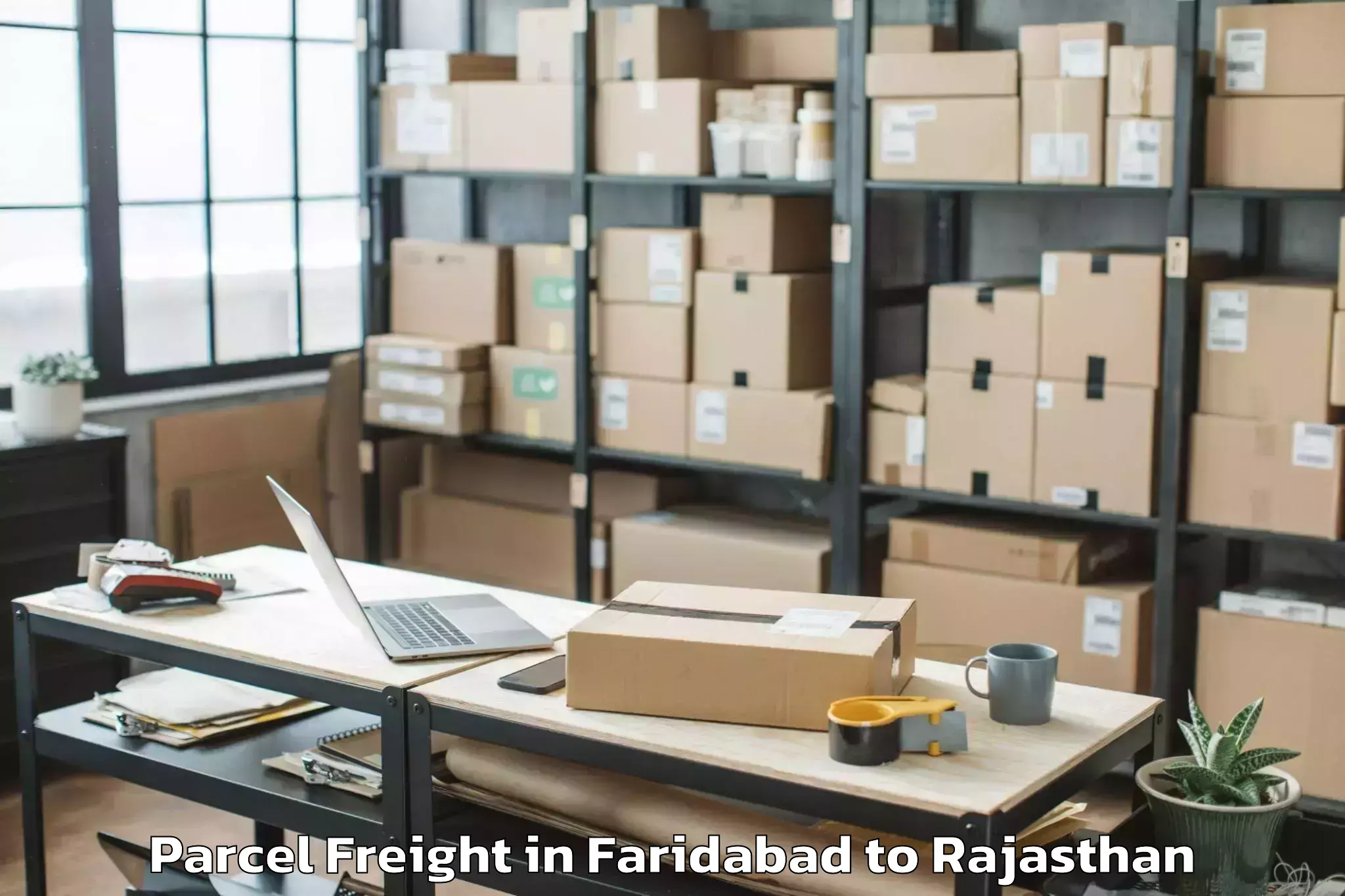 Expert Faridabad to Pratapgarh Rajasthan Parcel Freight